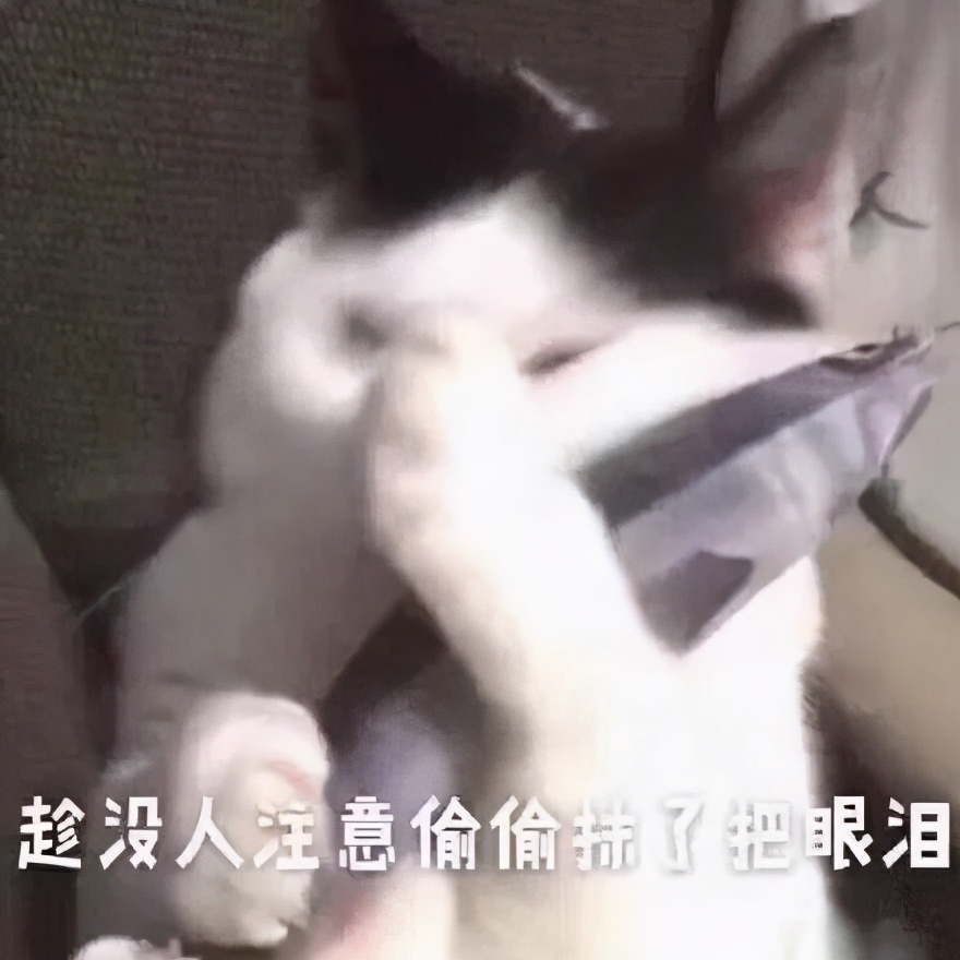 足坛中的陈冠希,足球运动员陈冠希