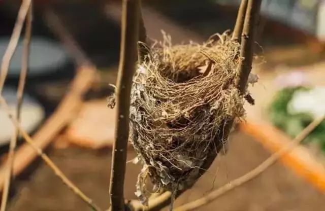 10000块能做点什么,10000块钱能做什么