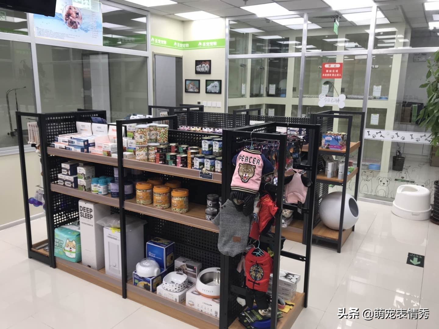 开宠物店的流程是什么,宠物店给宠物洗澡流程