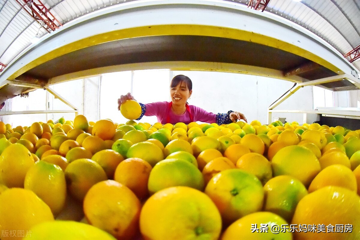 全中国哪里的橙子最好吃？经过评比，5个产地备受欢迎，橙中佳品