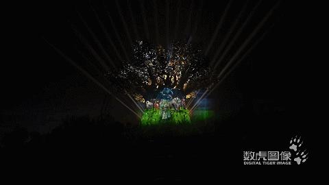 中秋国庆灯光秀节目单,国庆中秋灯光秀视频