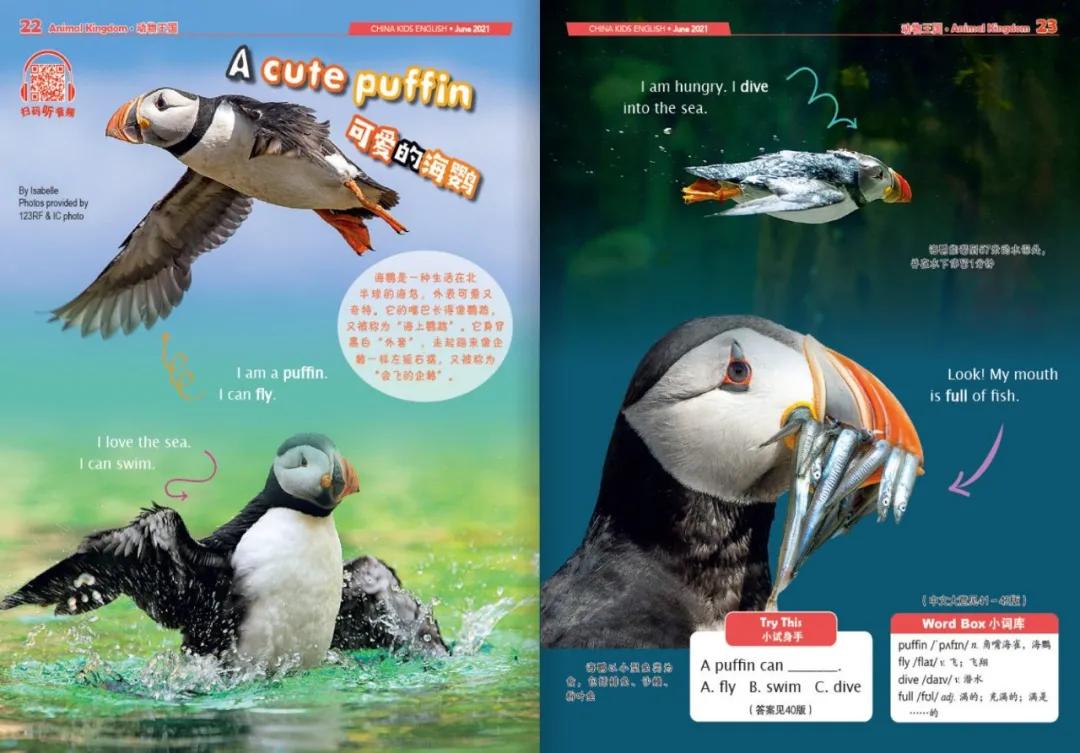 免费儿童杂志下载,10本儿童必读的杂志