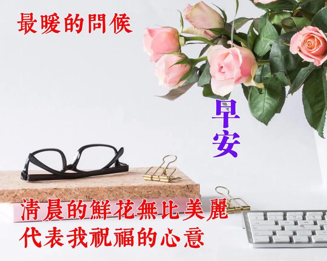 朋友圈早安表情包唯美,问好的表情包显得很高冷吗