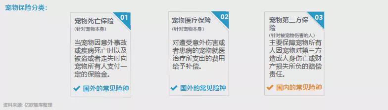 宠物保险是必需品还是鸡肋,宠物保险好不好用