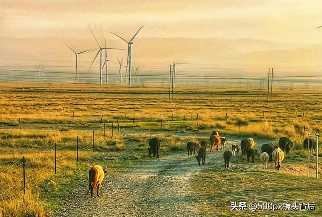 旅行干货与必杀技手机摄影,手机摄影旅游攻略