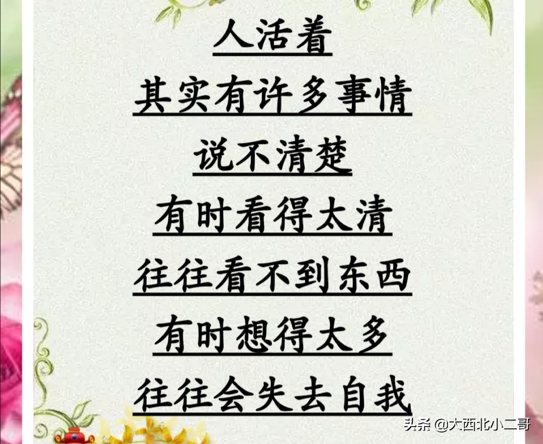 我的生活相册作文,生活相册制作