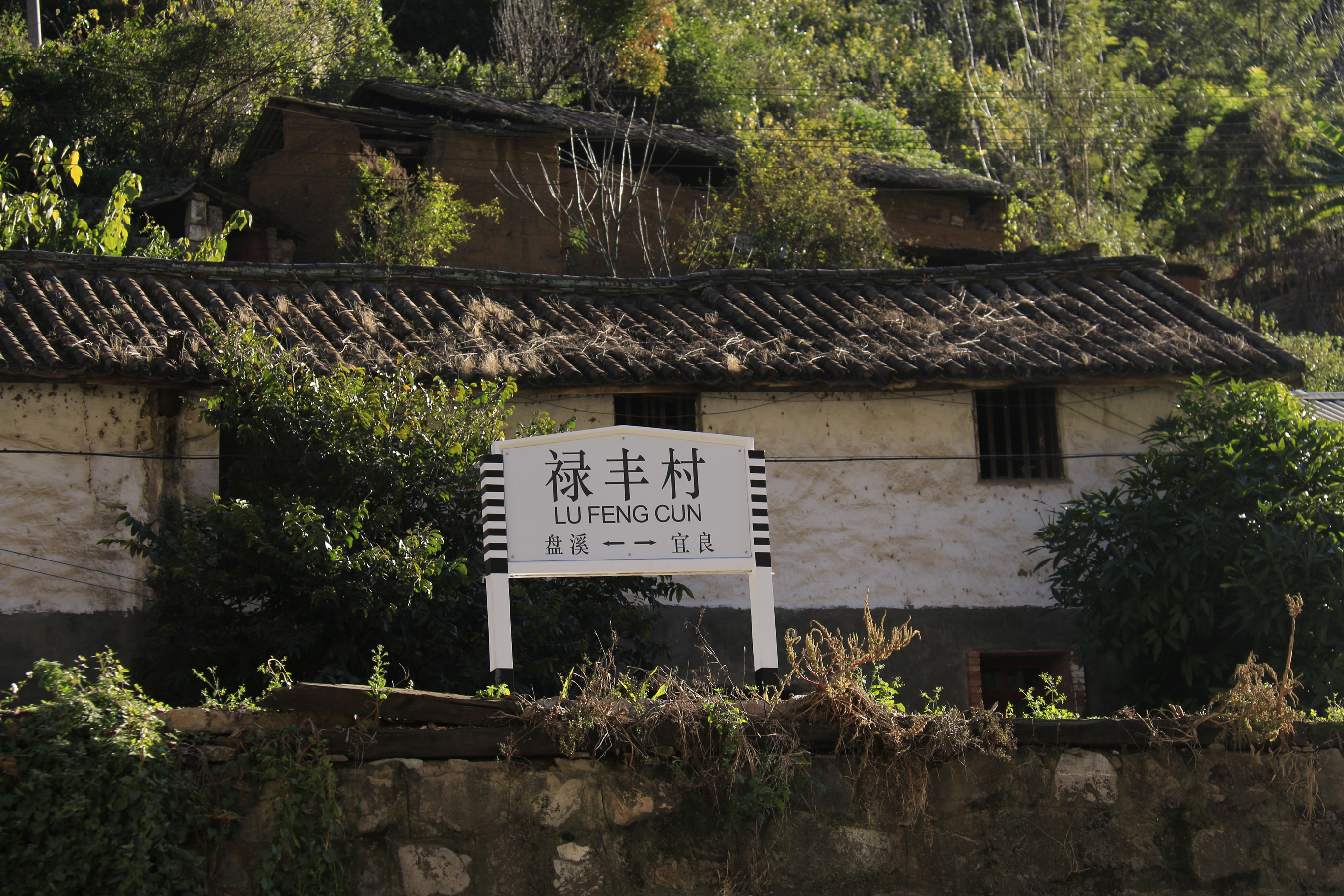 粮食局与测绘局的故事小说,粮食局仓储知识