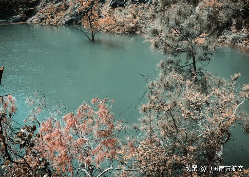 398往返机票,13999机票飞全国