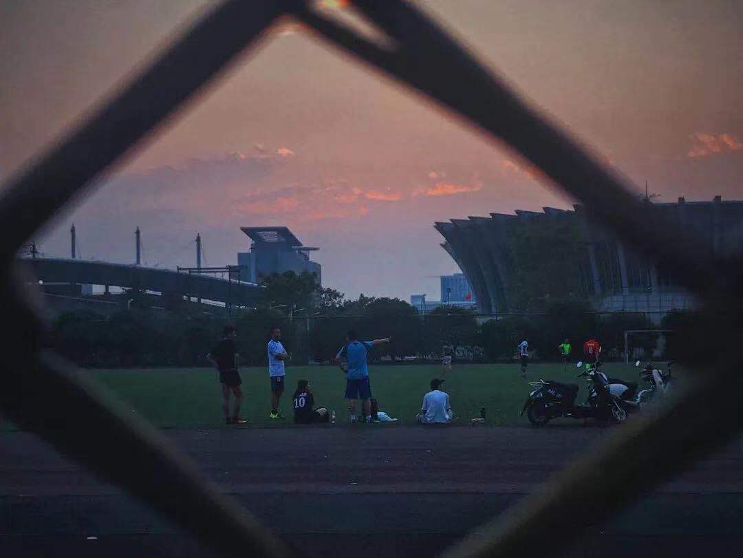 教育部高校高水平运动员招生标准,2022高水平运动员招生院校