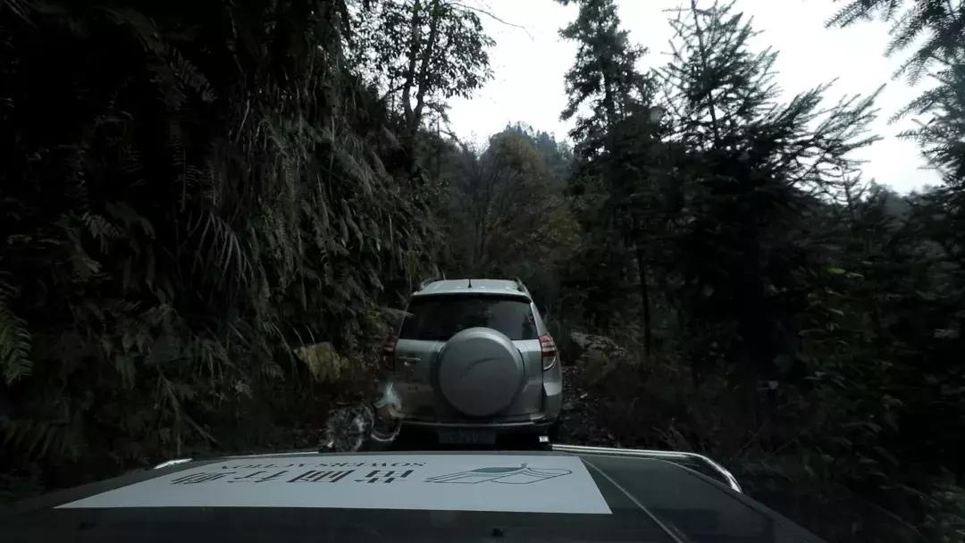 跨越2100多公里，我们为大山深处的孩子们上了一堂“云上美术课”