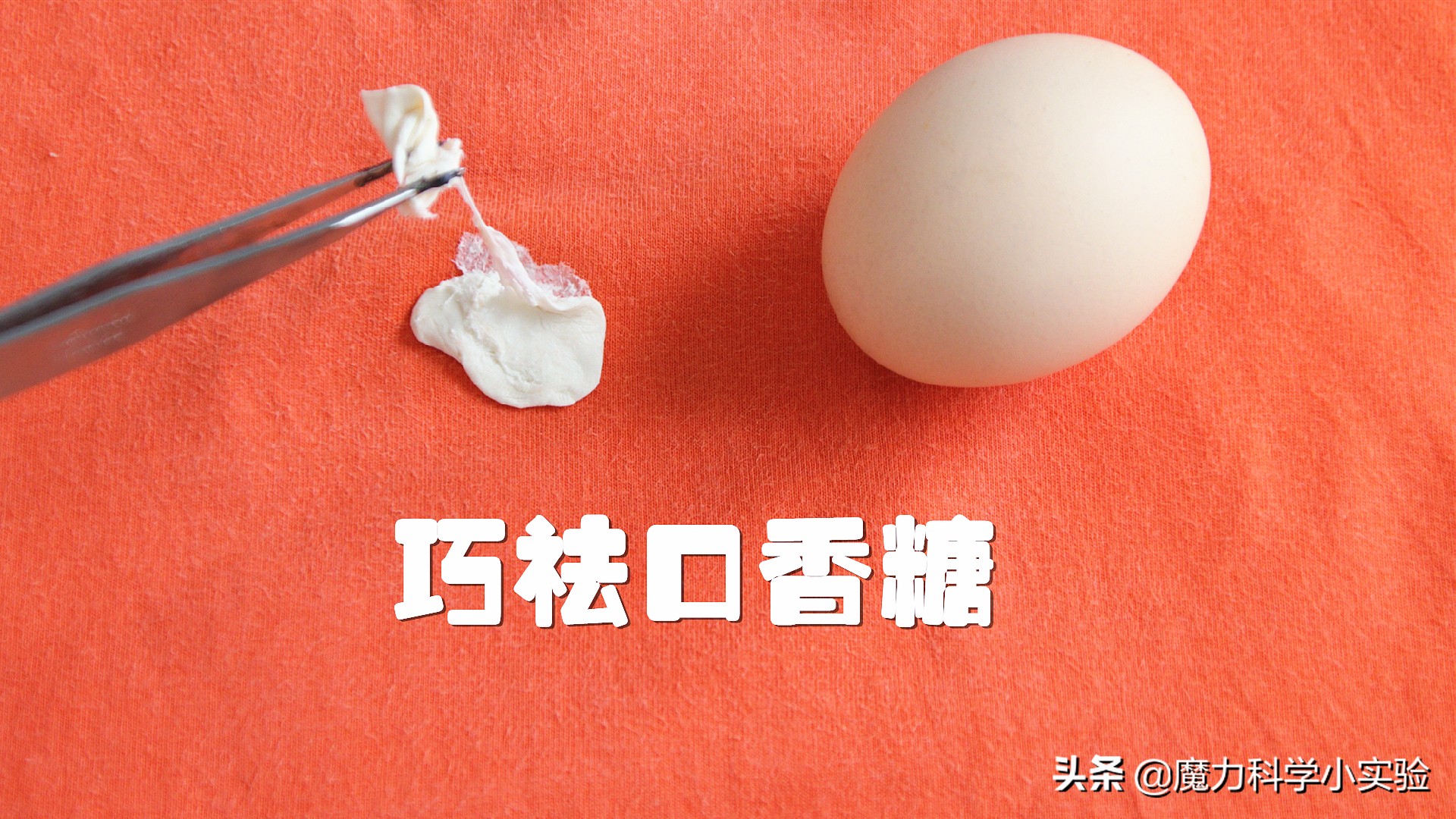 魔力科学小实验静电,魔力科学小实验变色的水