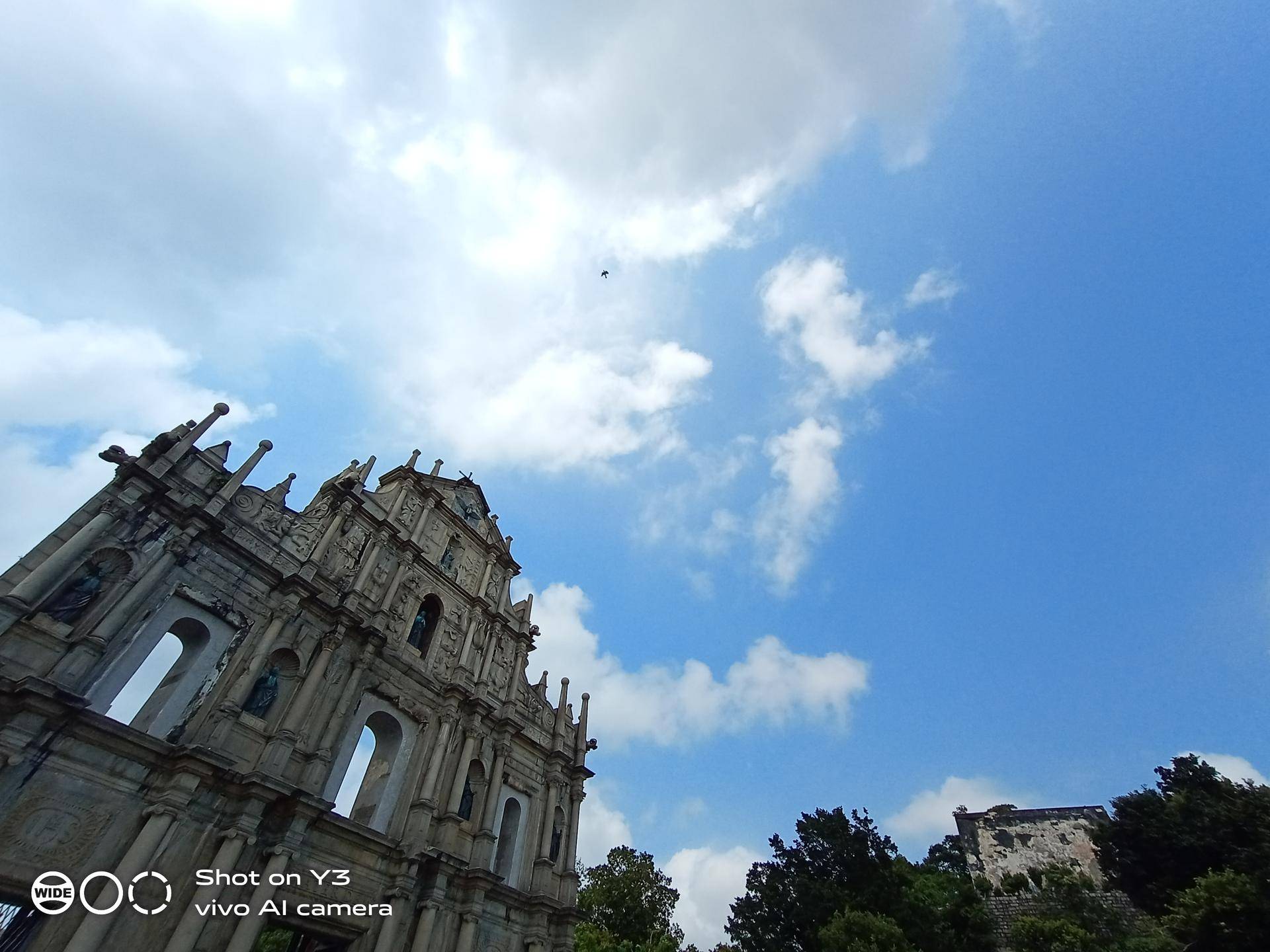 vivoy3标准版的秘密,vivoY3手机测评