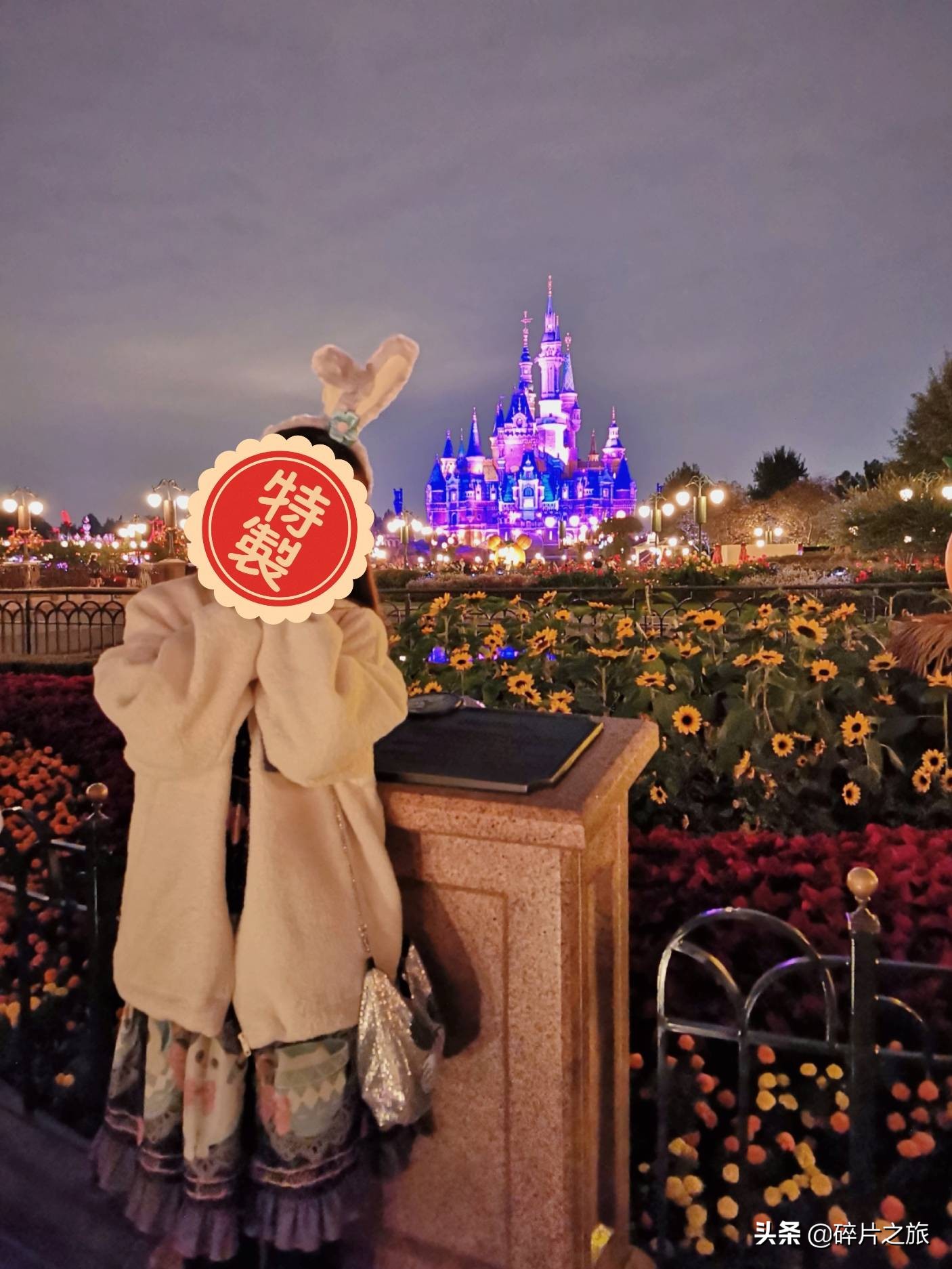 上海迪士尼必玩攻略最新,上海迪士尼游玩攻略教你