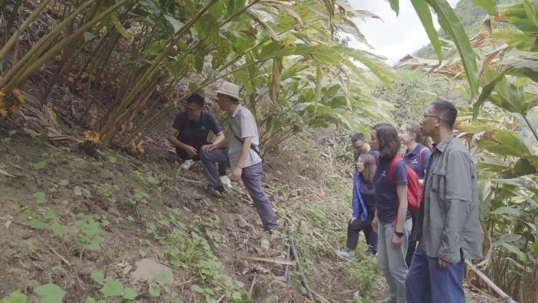 在字节跳动工作是一种怎样的体验,字节跳动都有什么奇葩职位