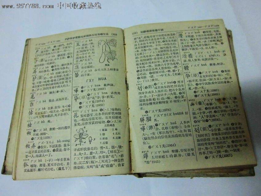 徐静蕾出书,徐静蕾老爸