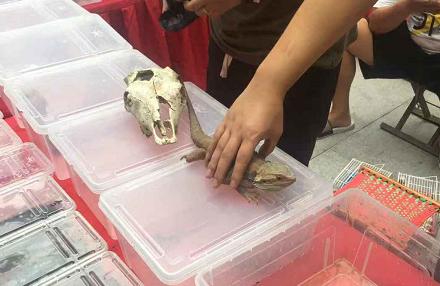 鑲嗘剰涔愭椿灞变笢,鑲嗘剰涔愭椿