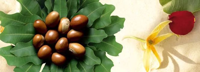 乳木果润肤裤穿搭,乳木果润肤保湿裤