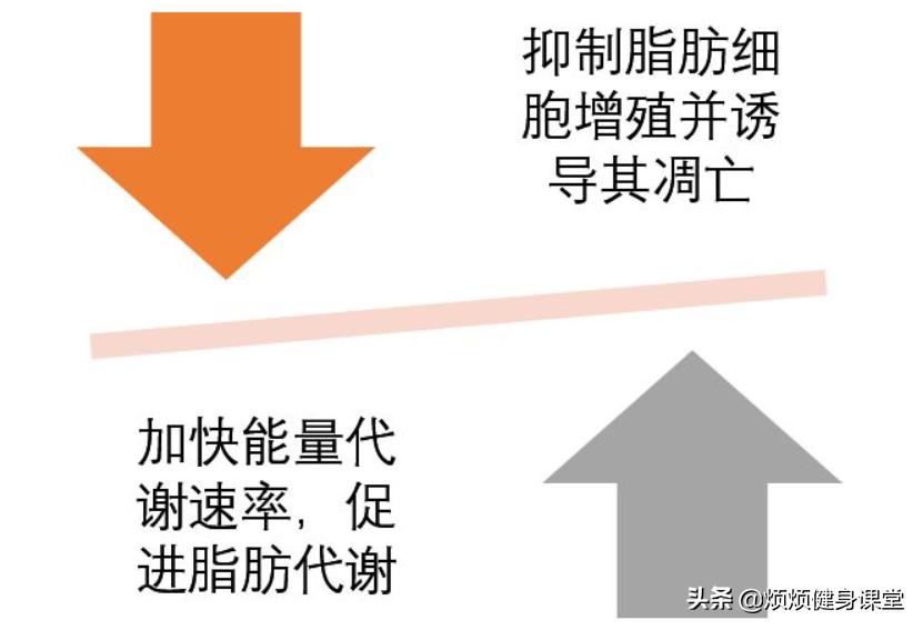 健身辅助补剂减脂有用吗,减脂用什么健身补剂