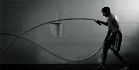 什么是脂肪食物什么是蛋白质,蛋白质脂肪碳水化合物指哪些东西