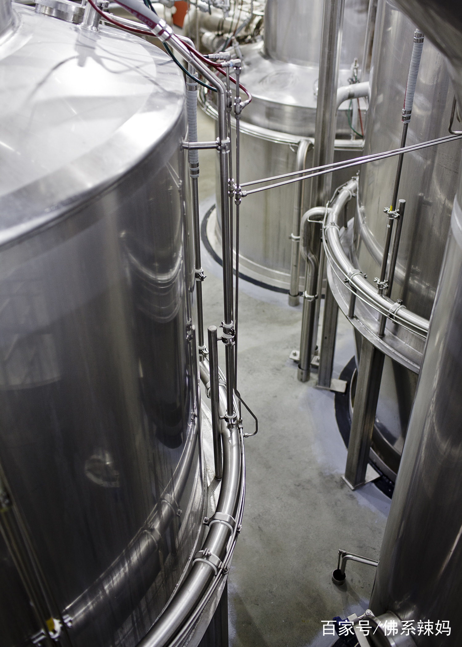 奶粉结块了有虫还能喝吗,为什么奶粉中有密密麻麻的小虫子