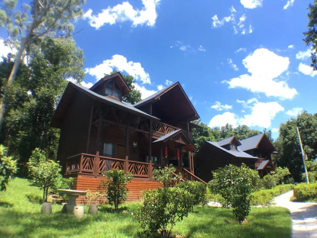 有玩有吃的礼物,有玩有吃的旅游景点