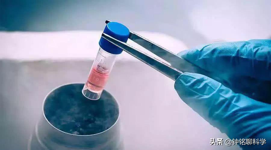 男子被蛇咬了毒蛇却奄奄一息,被毒蛇咬伤用什么蛇药