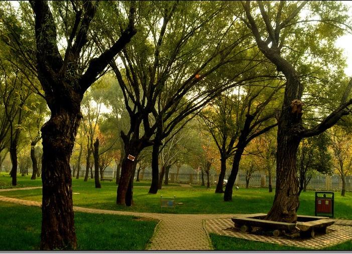 郑州十大免费官方场馆,郑州好玩的地方大型游乐场