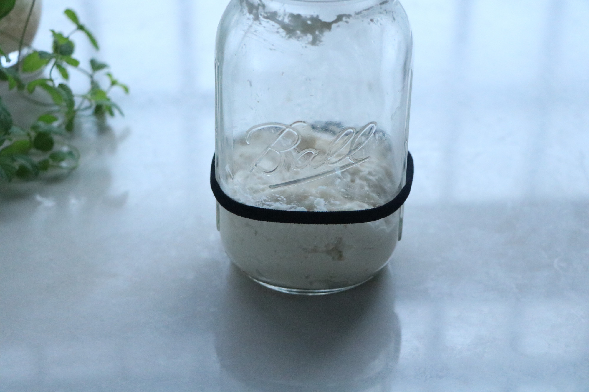 做包子用高酵母还是低酵母,如何用高活性干酵母做包子