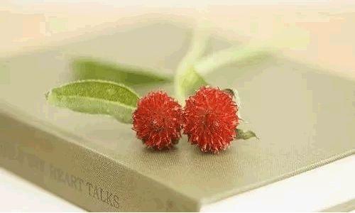 做人的最高境界一句话精辟,做人的最高境界是懂得装傻