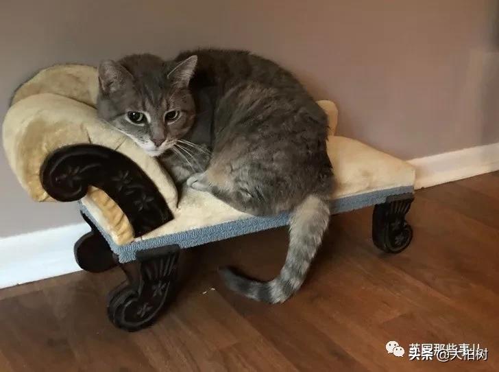 16个在旧货店淘到的酷炫物品,旧货店淘到的各种宝贝