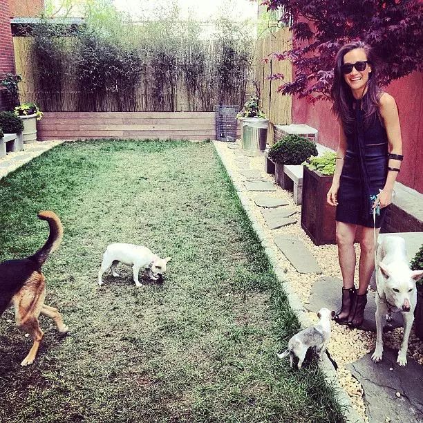 因比谢霆锋矮得到机会，吴彦祖为她梦中流泪与陈冠希不和