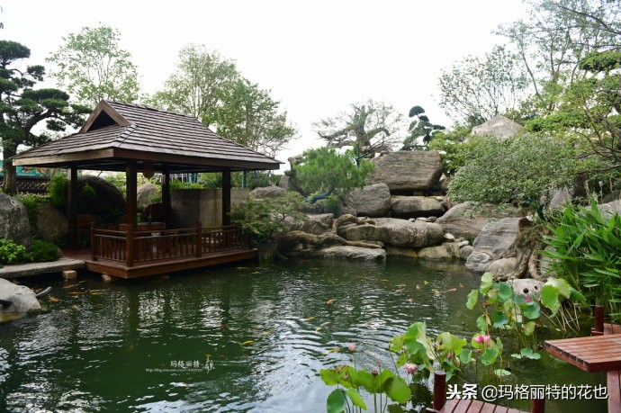 这座半山半水的土豪庭院，成了大多数男人的梦想｜花园拜访