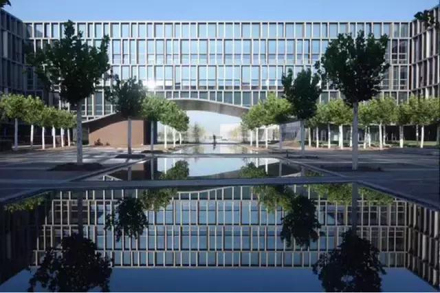 石落郑大，花开天大