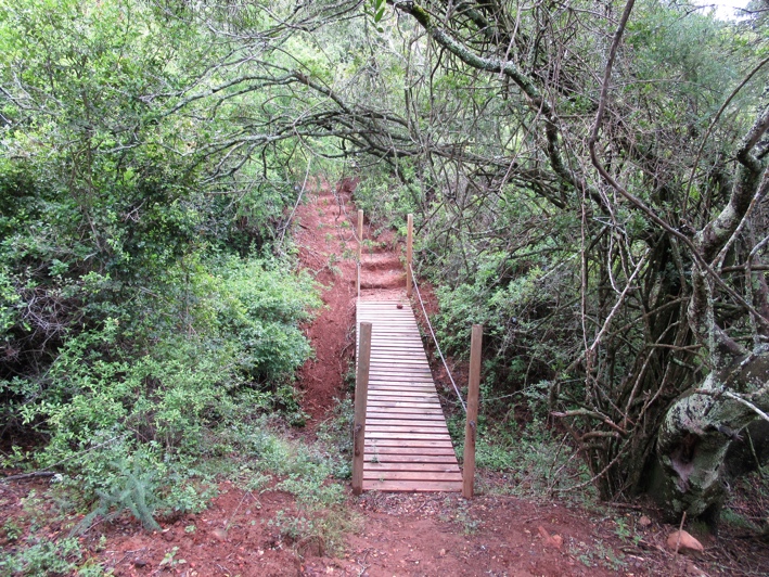 什么是数码味道,数码味是什么味道