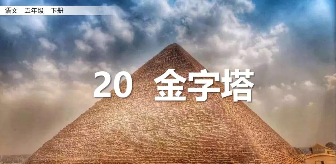 部编版五年级下册语文金字塔教案,语文书五年级下册第20课课后练习