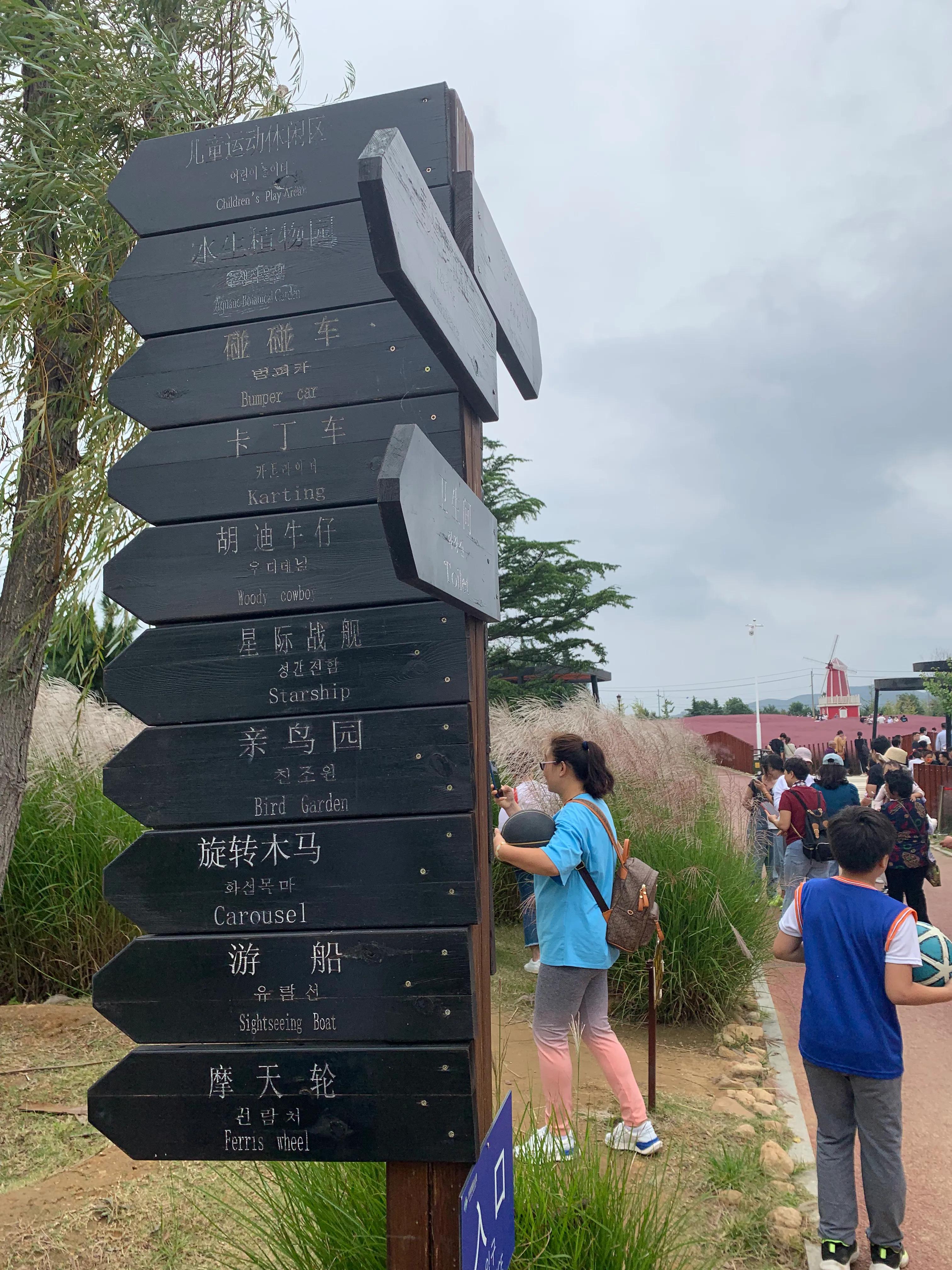 威海公园网红打卡的景点,威海羊亭湿地公园地址