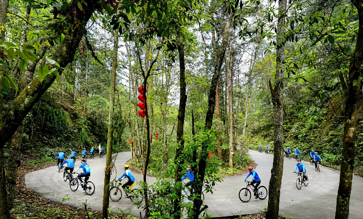 中国绿都最氧三明,中国绿都最氧三明春回大地