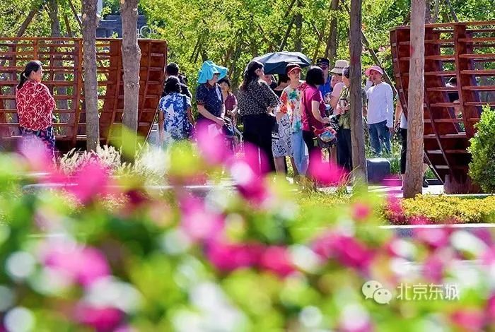 北京东城区是不是最好的,北京东城区算郊区吗