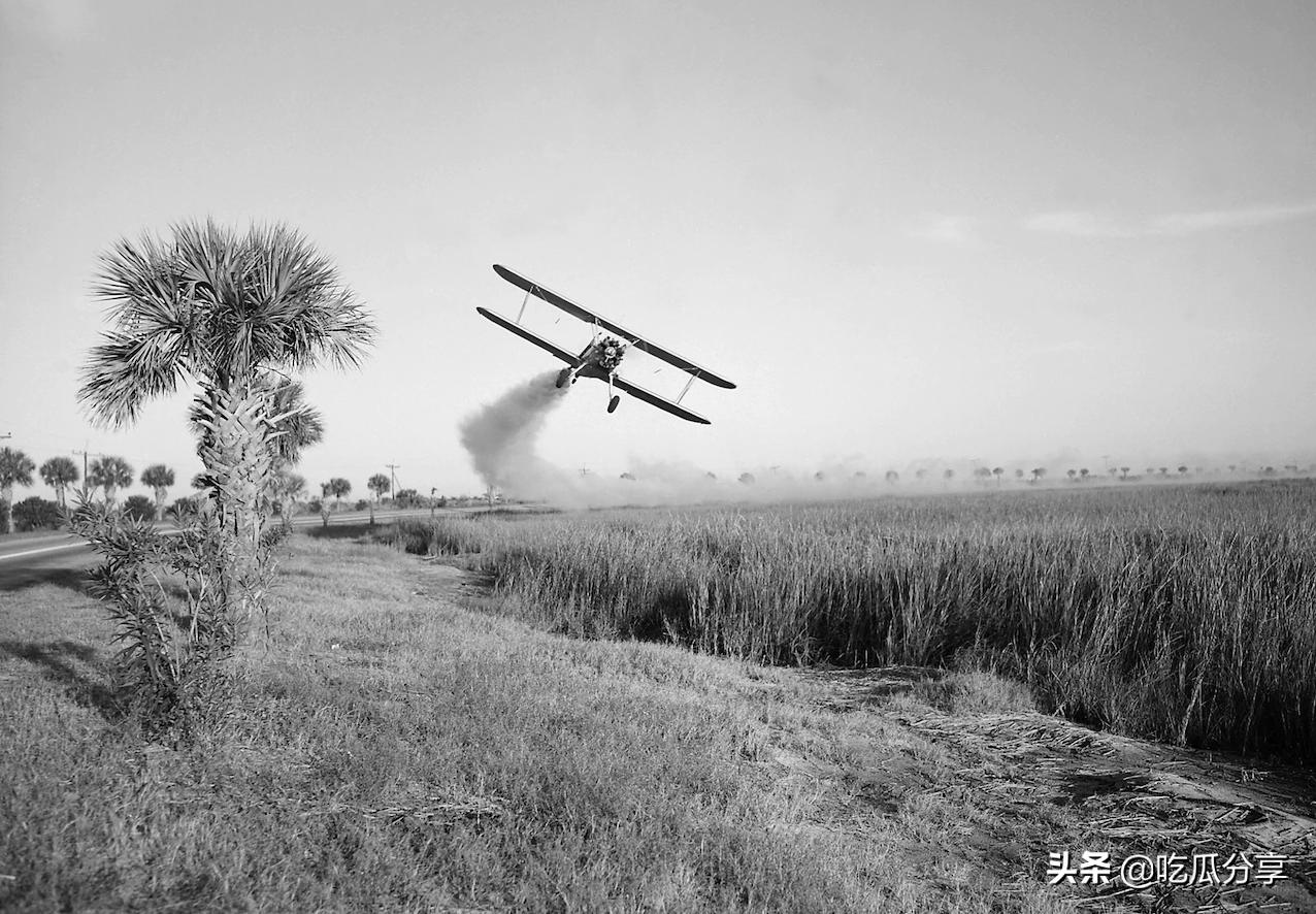 疾控中心和卫生监督所是一家吗,疾控中心和医院办的健康证一样吗