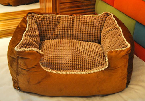 新手养刚出生小狗的攻略,刚养小狗该怎么做