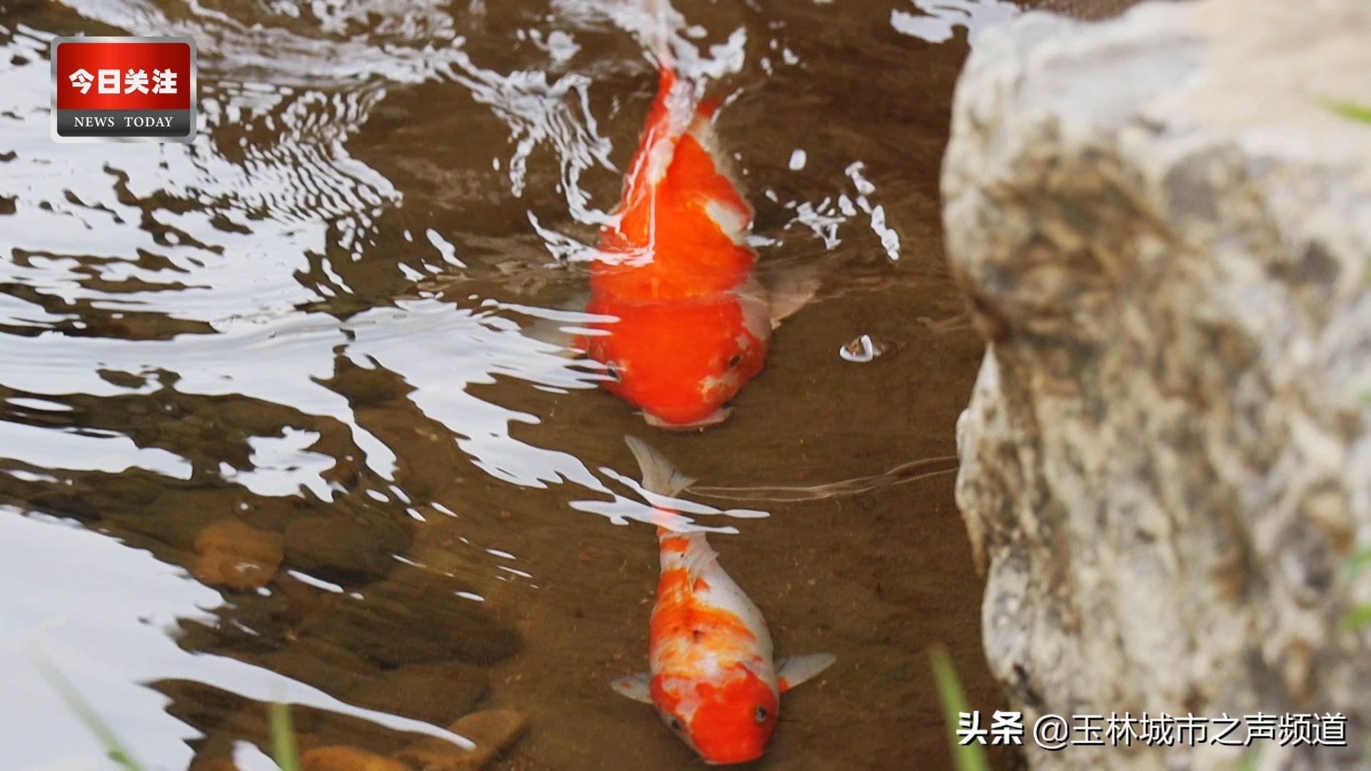 *今条头日**|小苏和潘潘带你逛金旺彩绘村系列（上集）