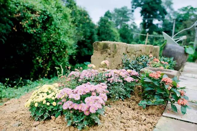 十年前的美女主播去哪了,十年前离开央视的女主持人