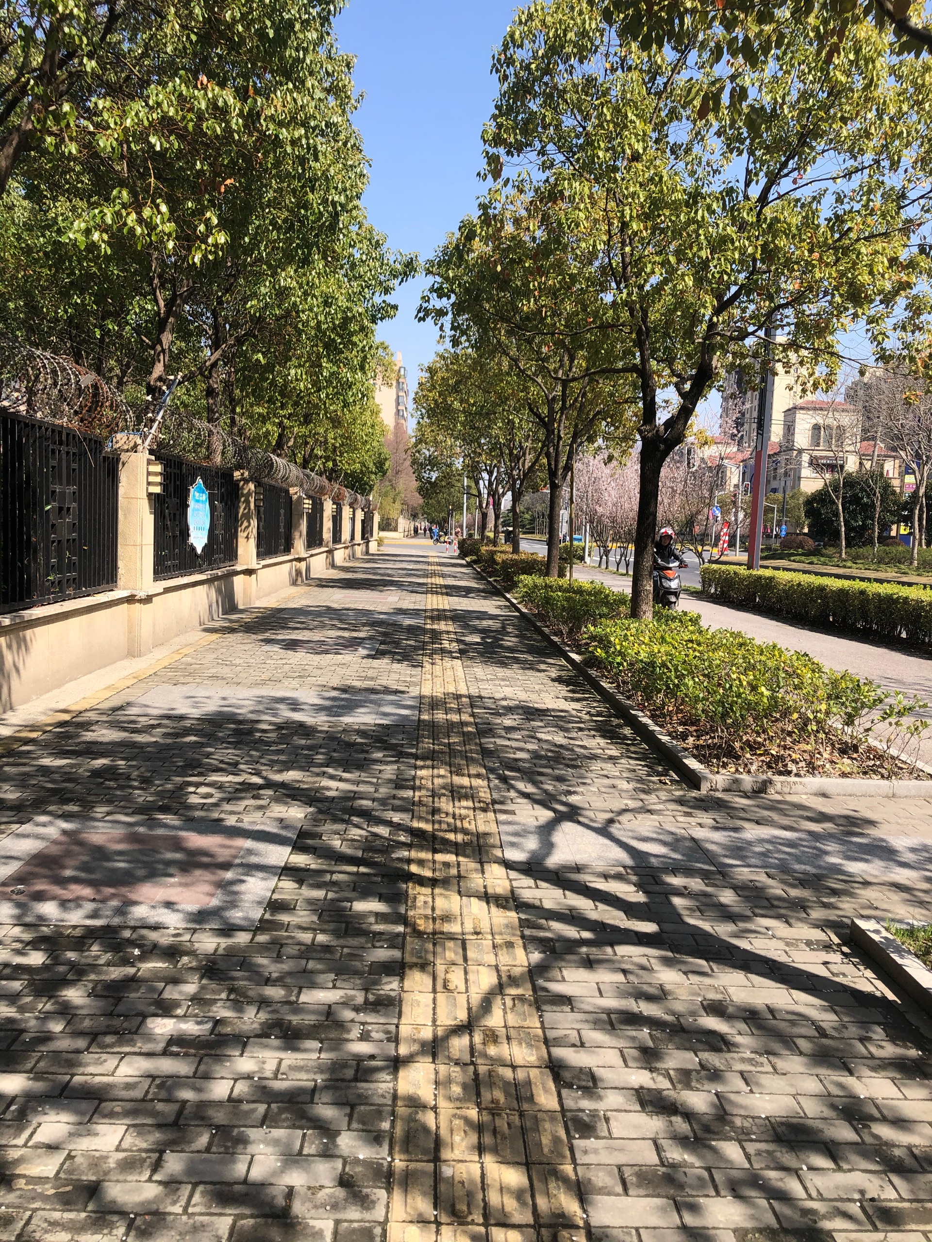 闵行浦江镇,闵行浦江之星