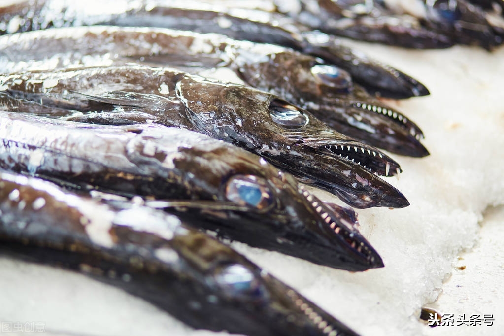 司机被迫吃生带鱼考验我们有关方面怎样把好事情办好