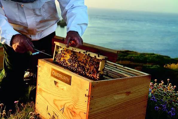 地球日50周年,追求零碳排、资源永续,看美妆品牌为环保做了什么