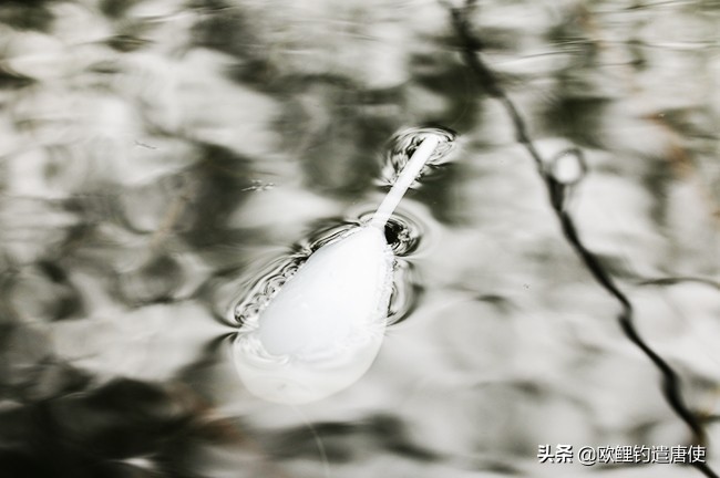 夏季下雨过后钓鱼应如何选择钓位,夏季垂钓这3个钓位上鱼超多