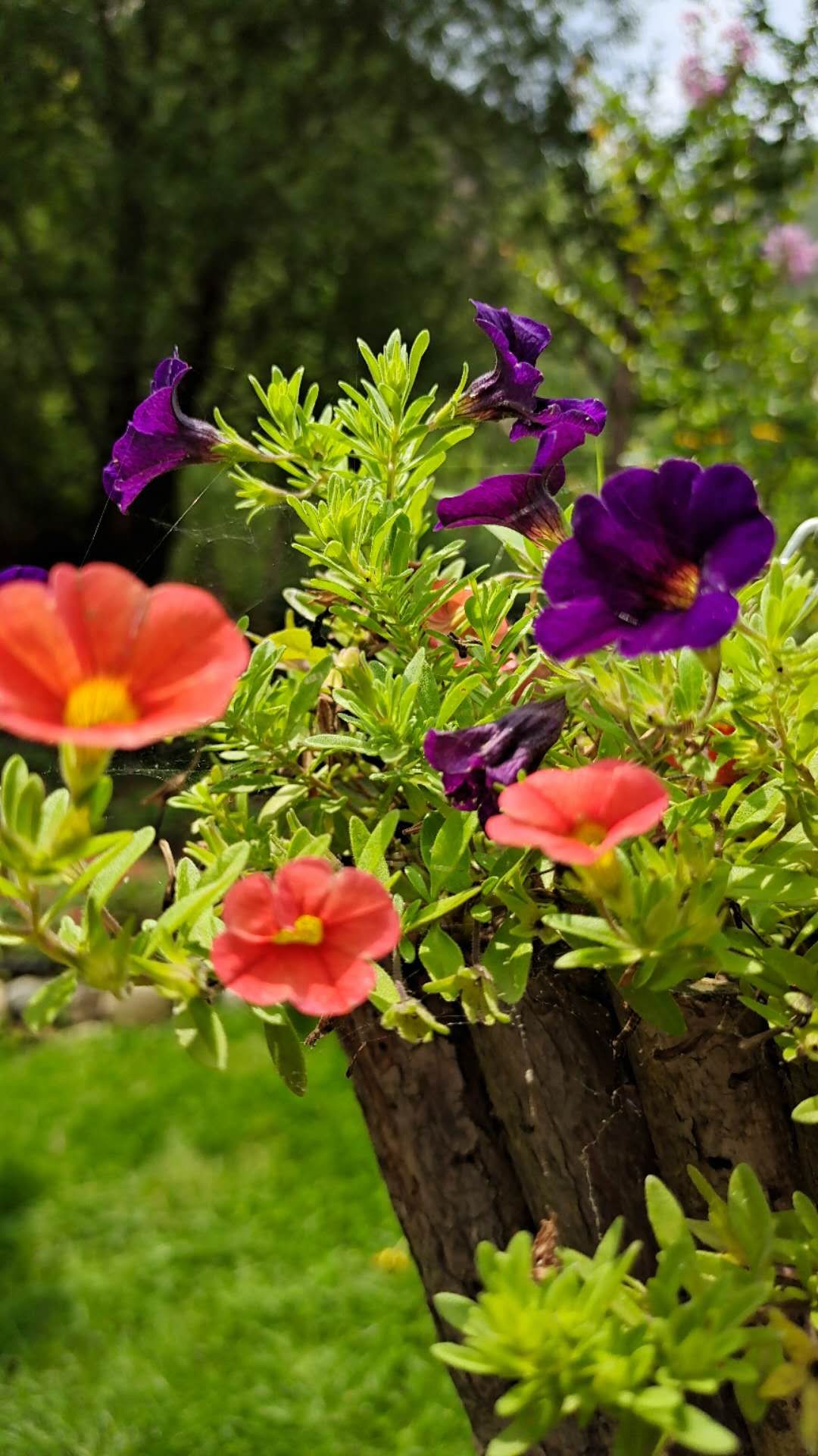 <html>
<head><title>502BadGateway</title></head>
<body>
<center><h1>502BadGateway</h1></center>
<hr><center>nginx</center>
</body>
</html>
<!--apaddingtodisableMSIEandChromefriendlyerrorpage-->
<!--apaddingtodisableMSIEandChromefriendlyerrorpage-->
<!--apaddingtodisableMSIEandChromefriendlyerrorpage-->
<!--apaddingtodisableMSIEandChromefriendlyerrorpage-->
<!--apaddingtodisableMSIEandChromefriendlyerrorpage-->
<!--apaddingtodisableMSIEandChromefriendlyerrorpage-->
