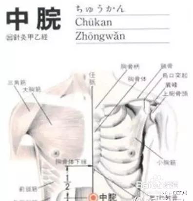 中医穴位减肥按摩手法全程教程,自己用艾灸减肥最快的穴位图解