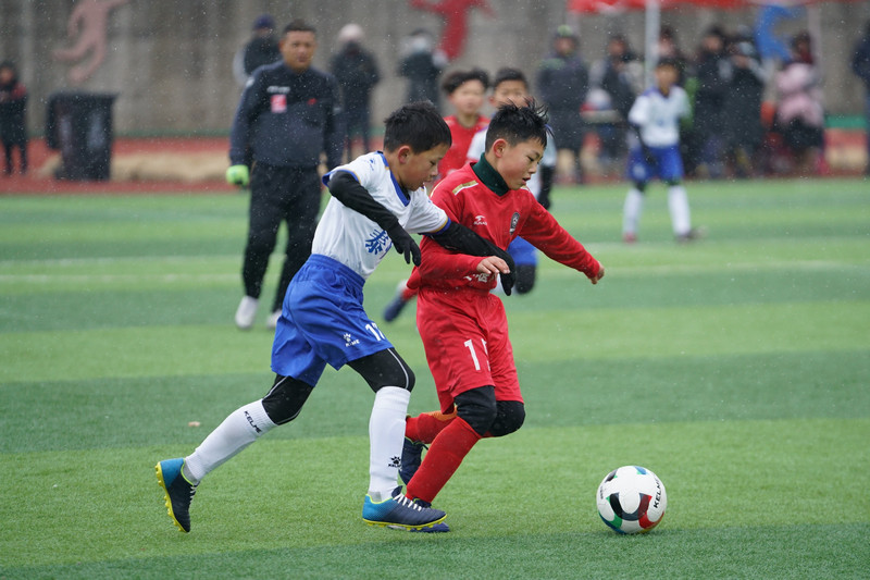 足球小将国际杯,中国足球小将全国赛事