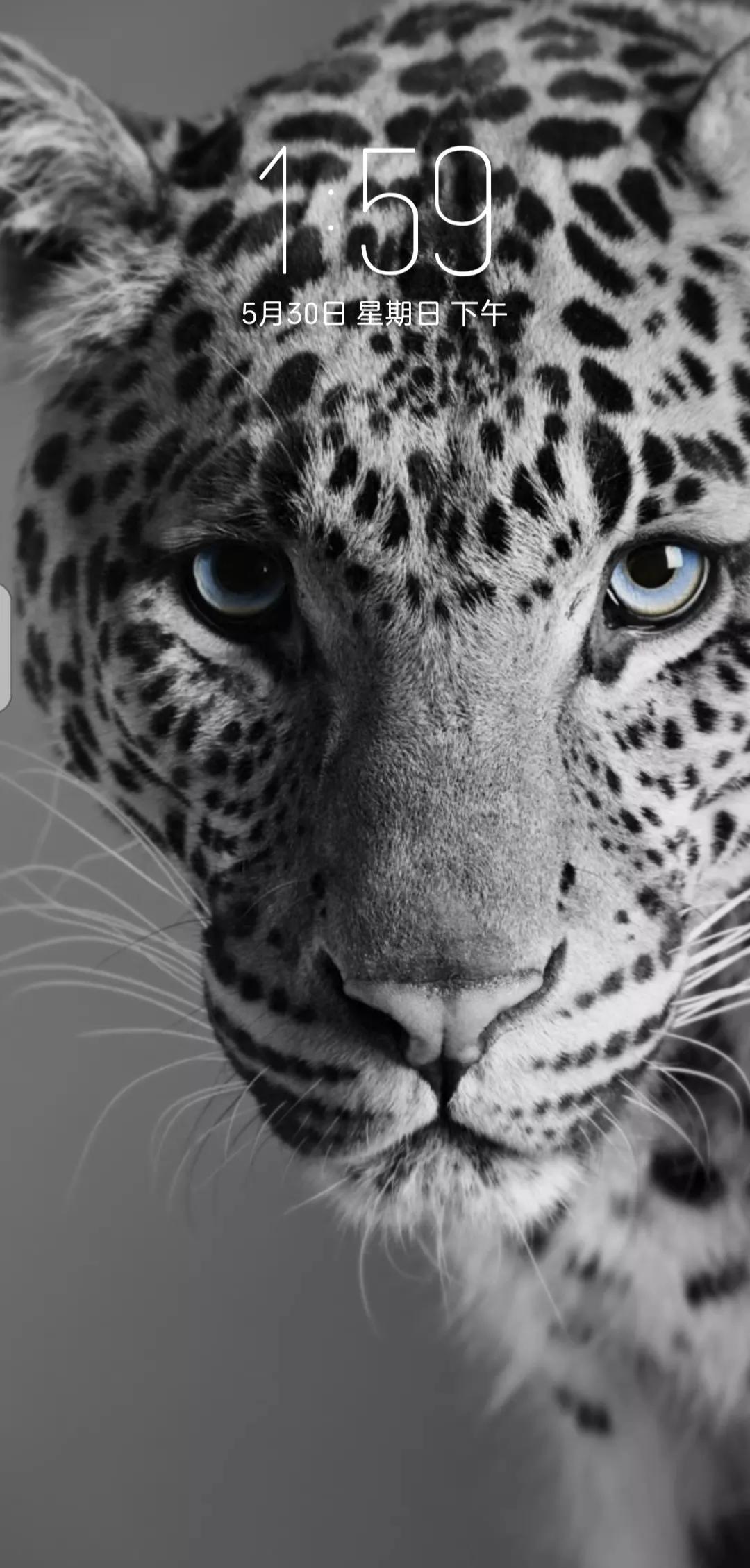 努比亚z30pro摄像头,努比亚z30pro优缺点